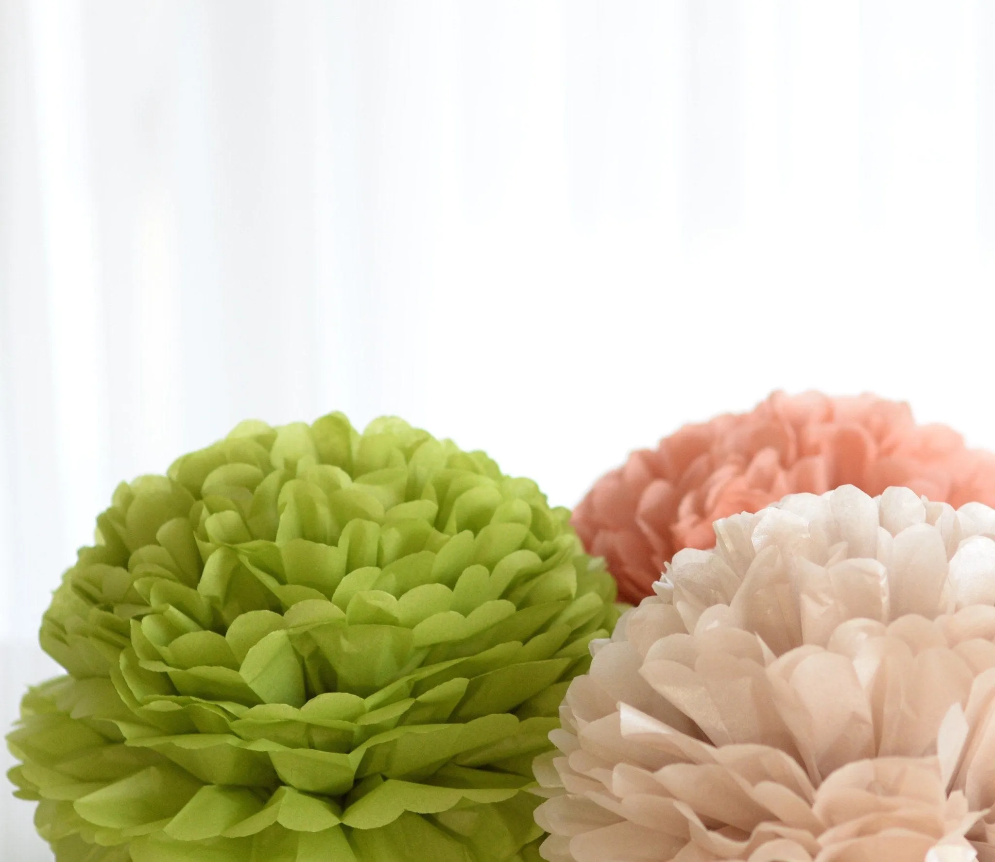 Aloe tissue paper pom pom