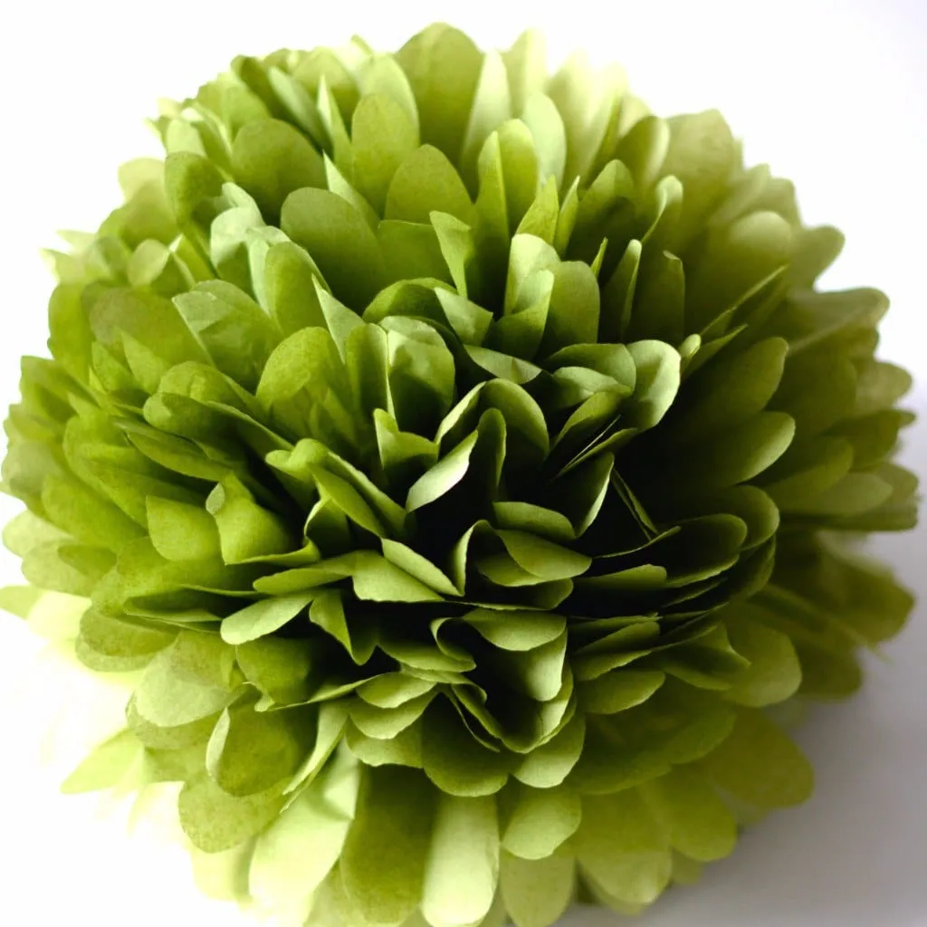 Aloe tissue paper pom pom
