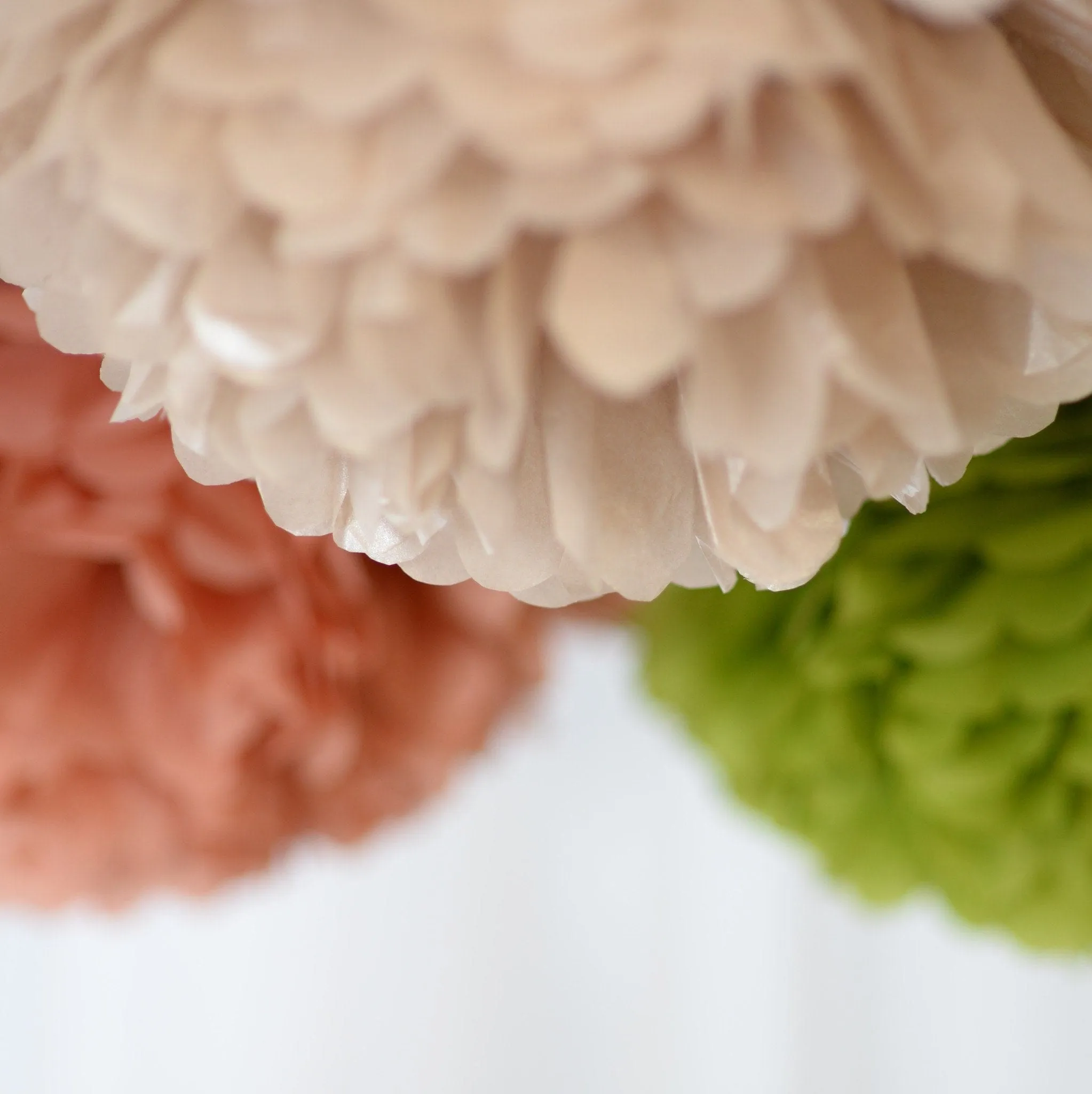Aloe tissue paper pom pom