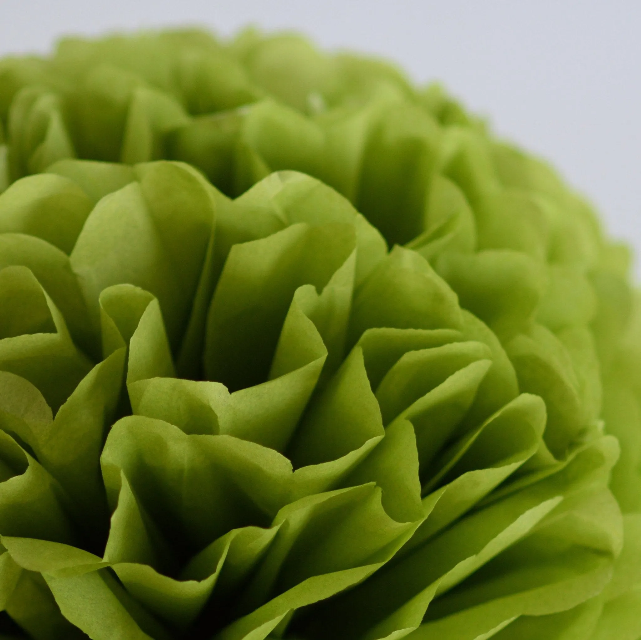 Aloe tissue paper pom pom