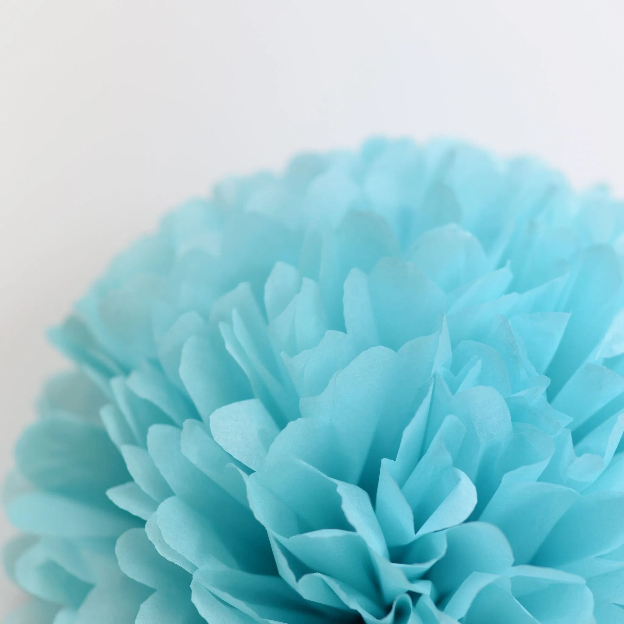 Aquamarine tissue paper pom pom