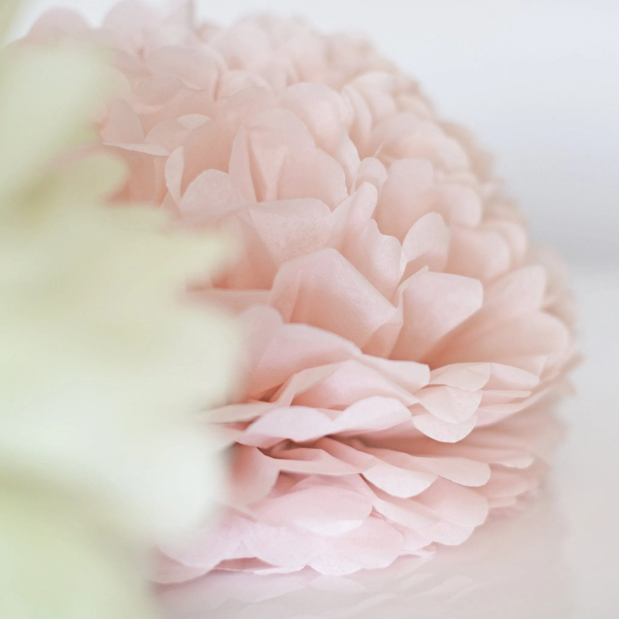 Blush pink tissue paper pom pom