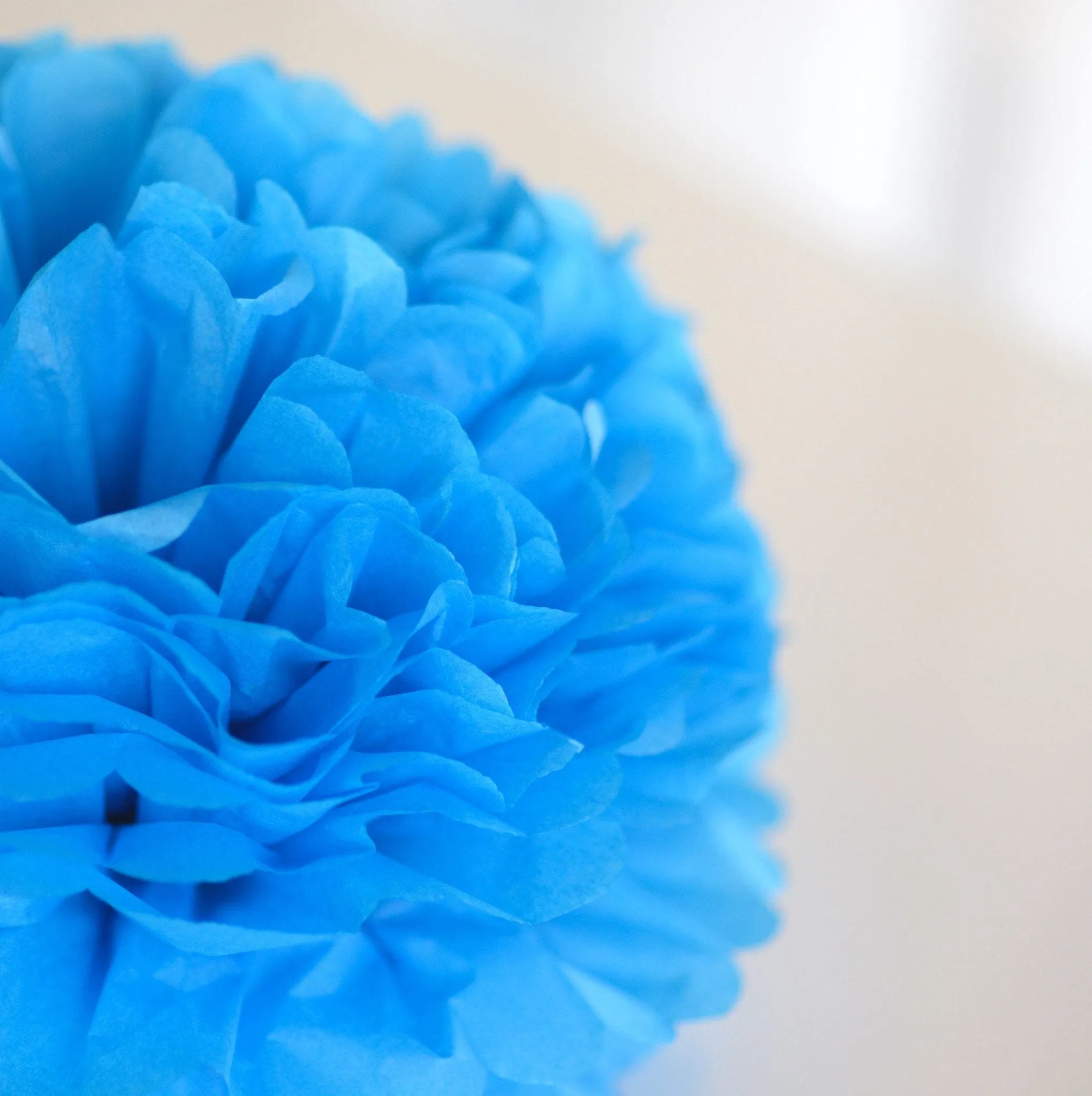 Fiesta blue tissue paper pom pom