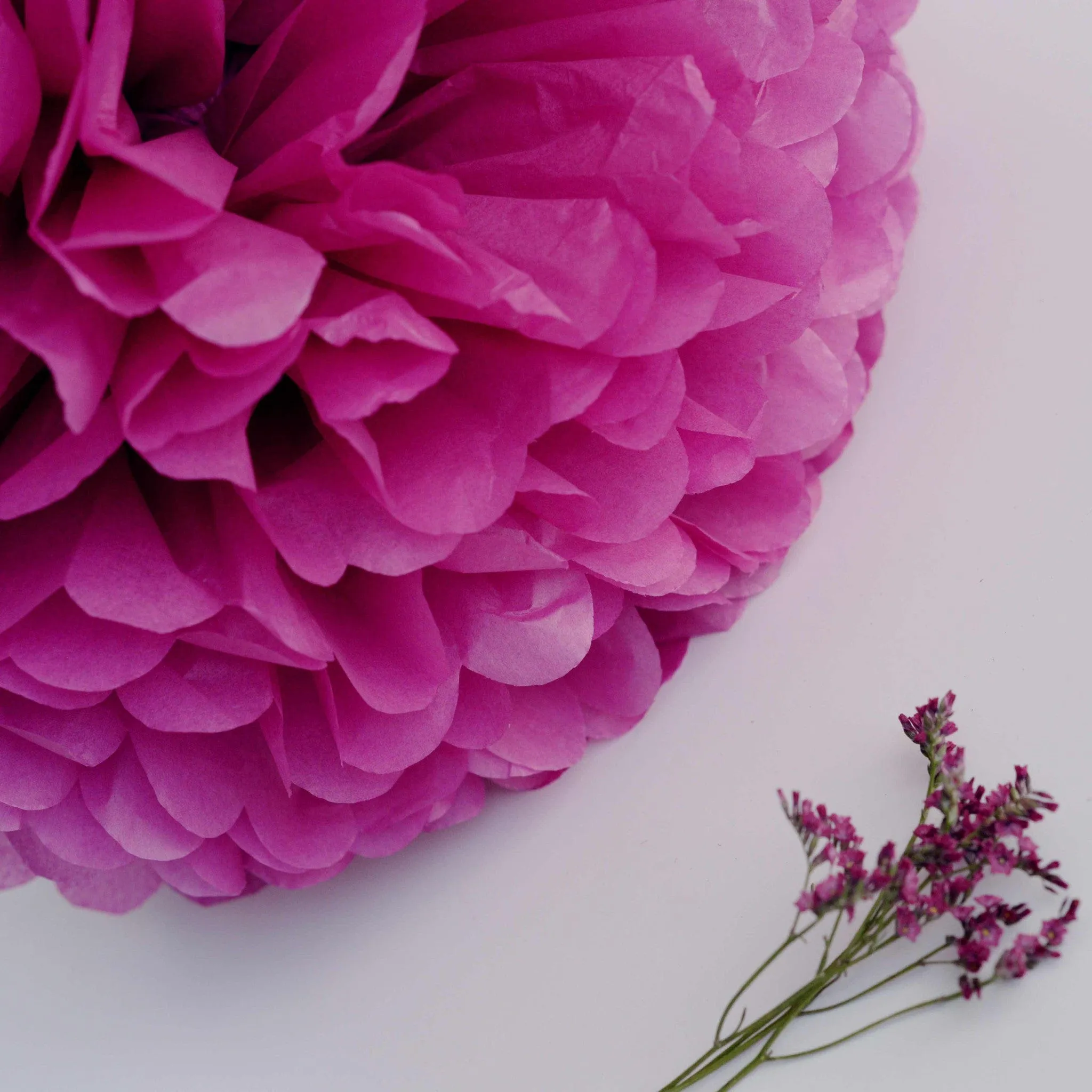 Fuchsia tissue paper pom pom