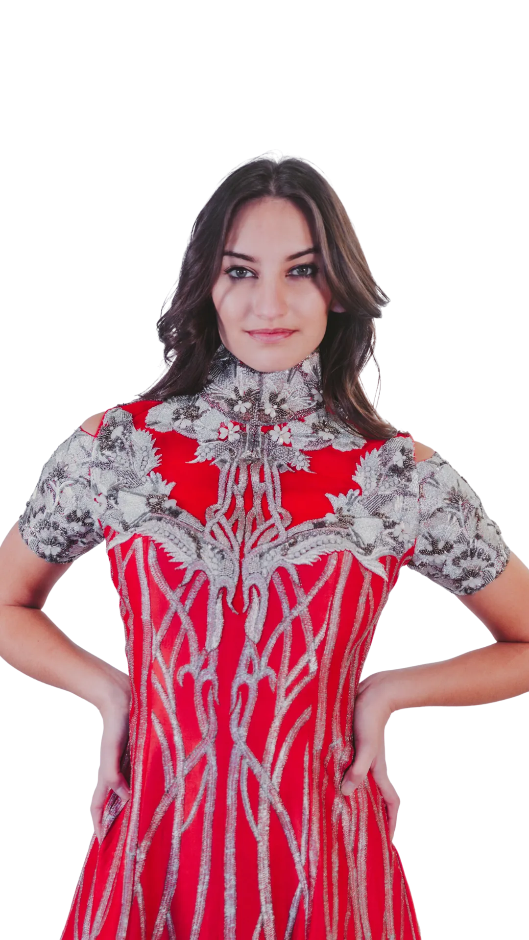 High Neck Silver & Red Tea Length Gown