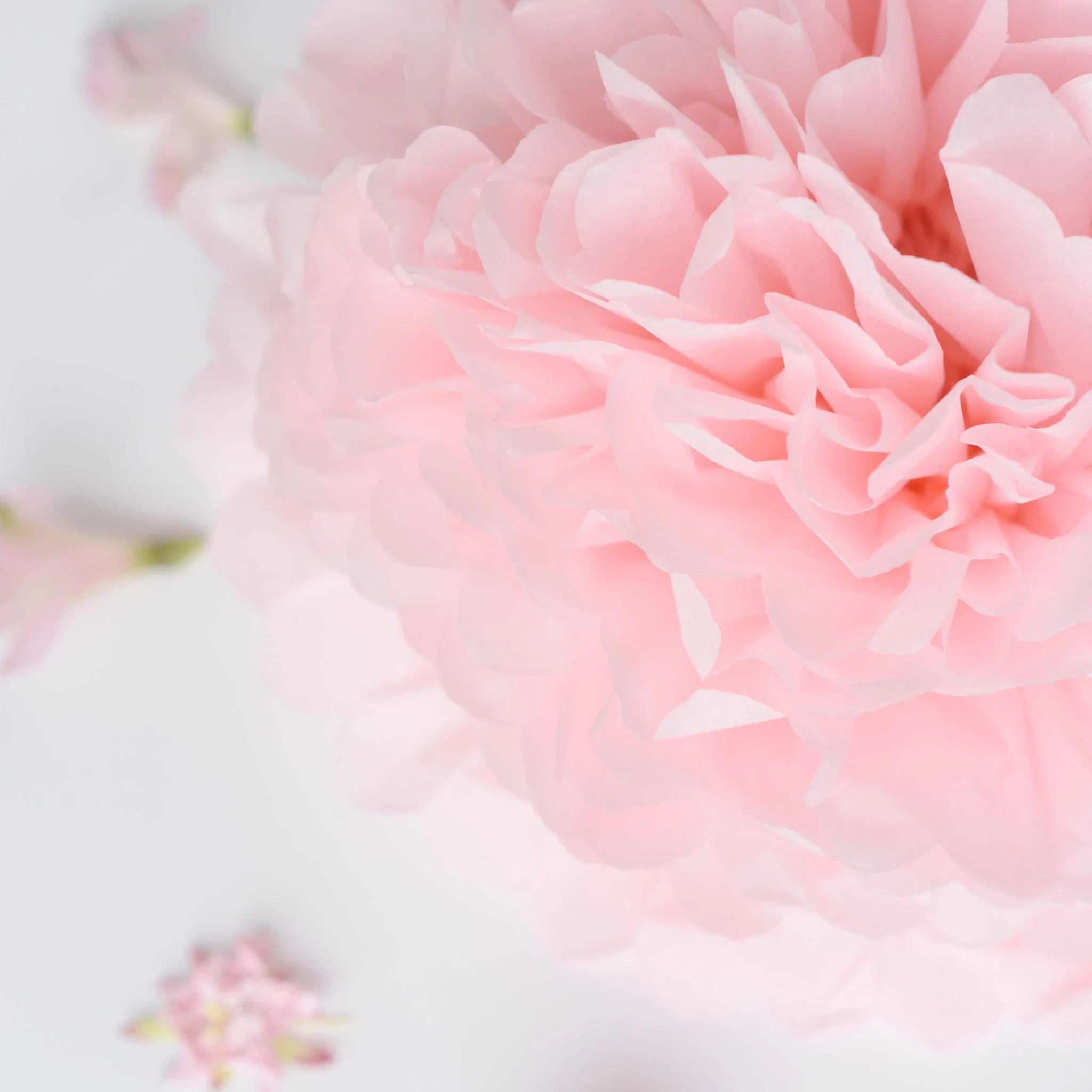 Large size light pink tissue paper pom pom