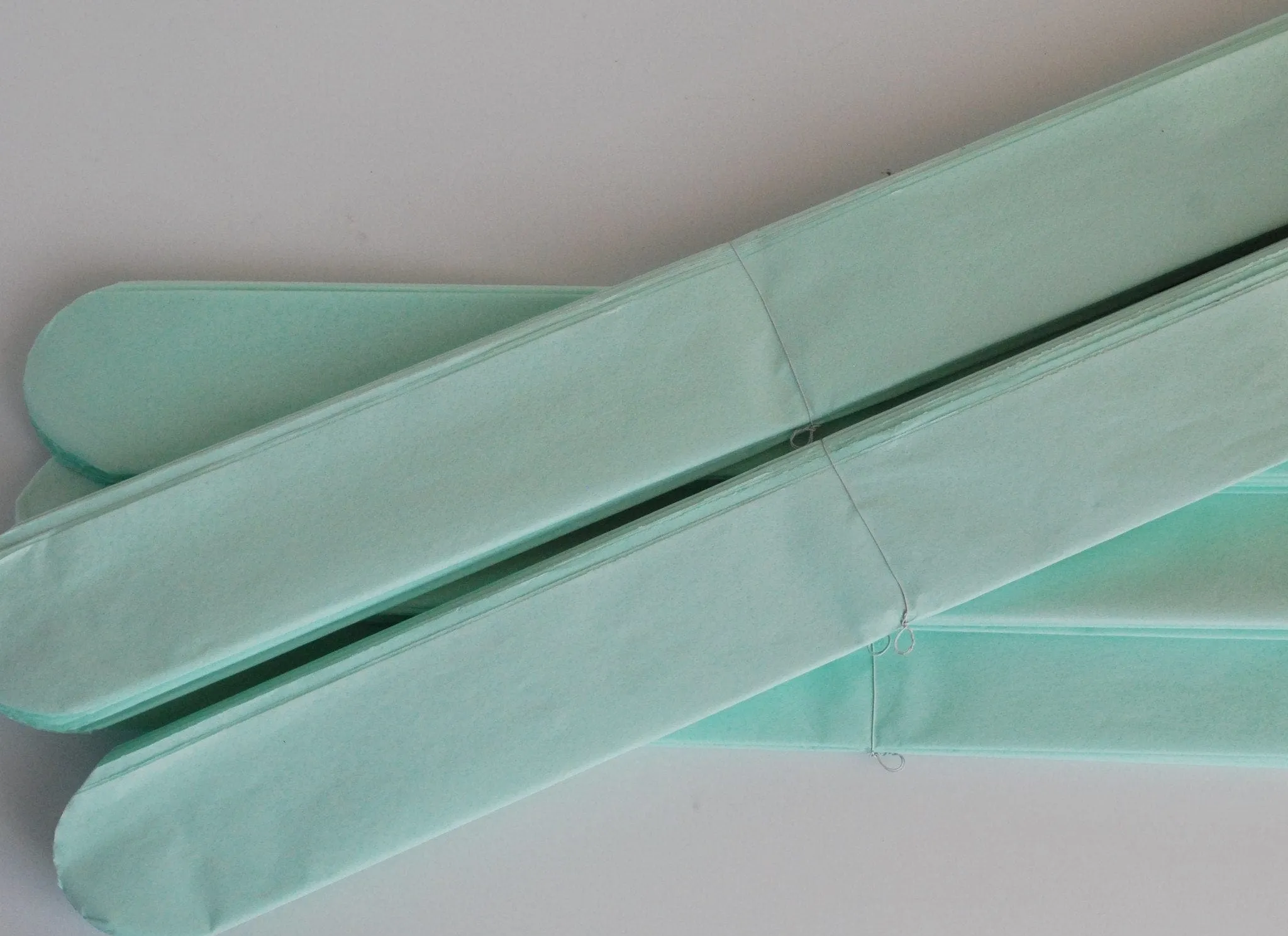 Mint tissue paper pom poms