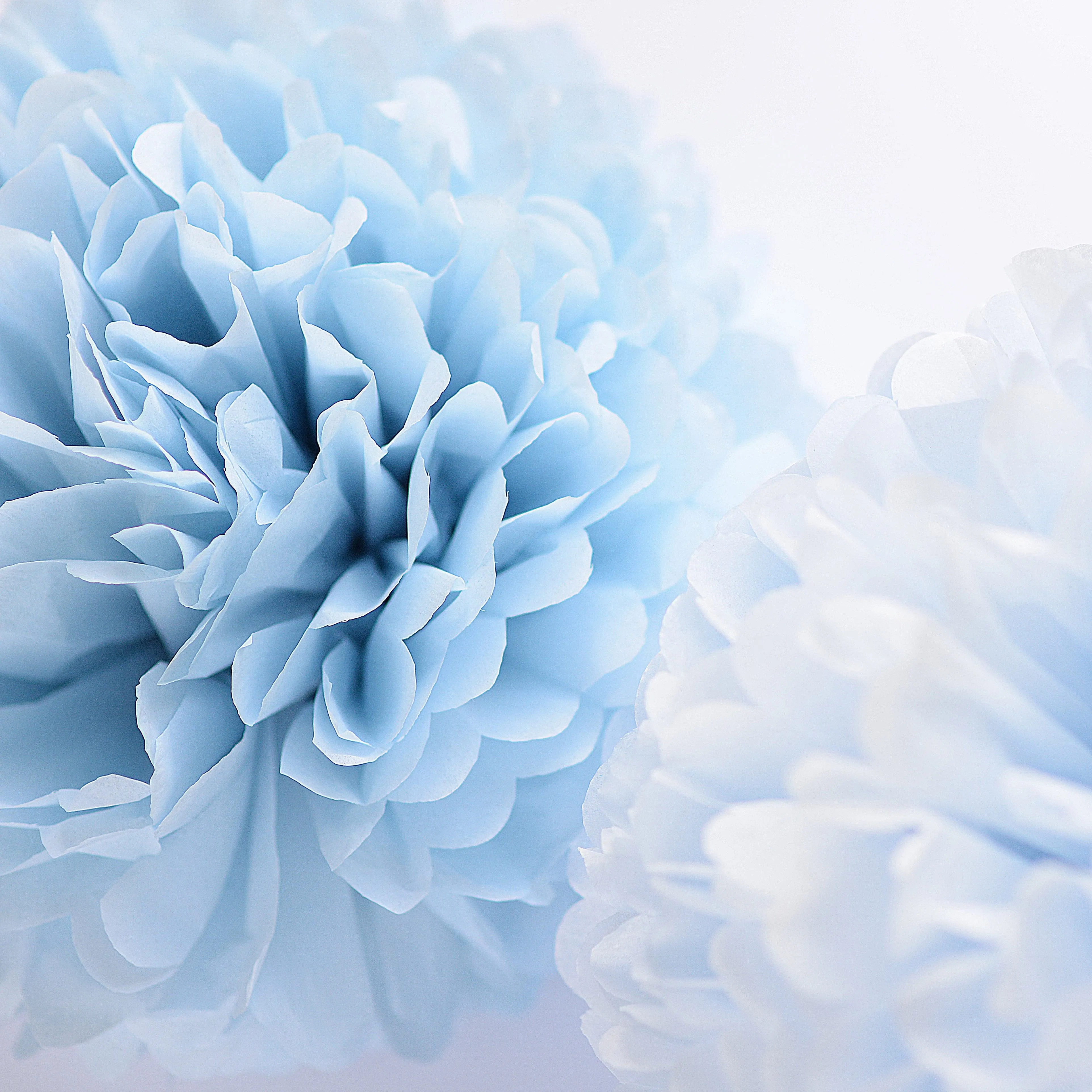 Powder blue tissue paper pom pom