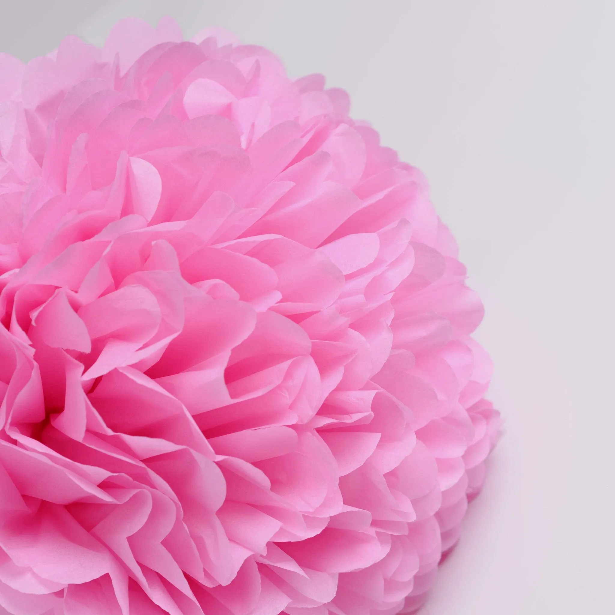 Raspberry tissue paper pom pom