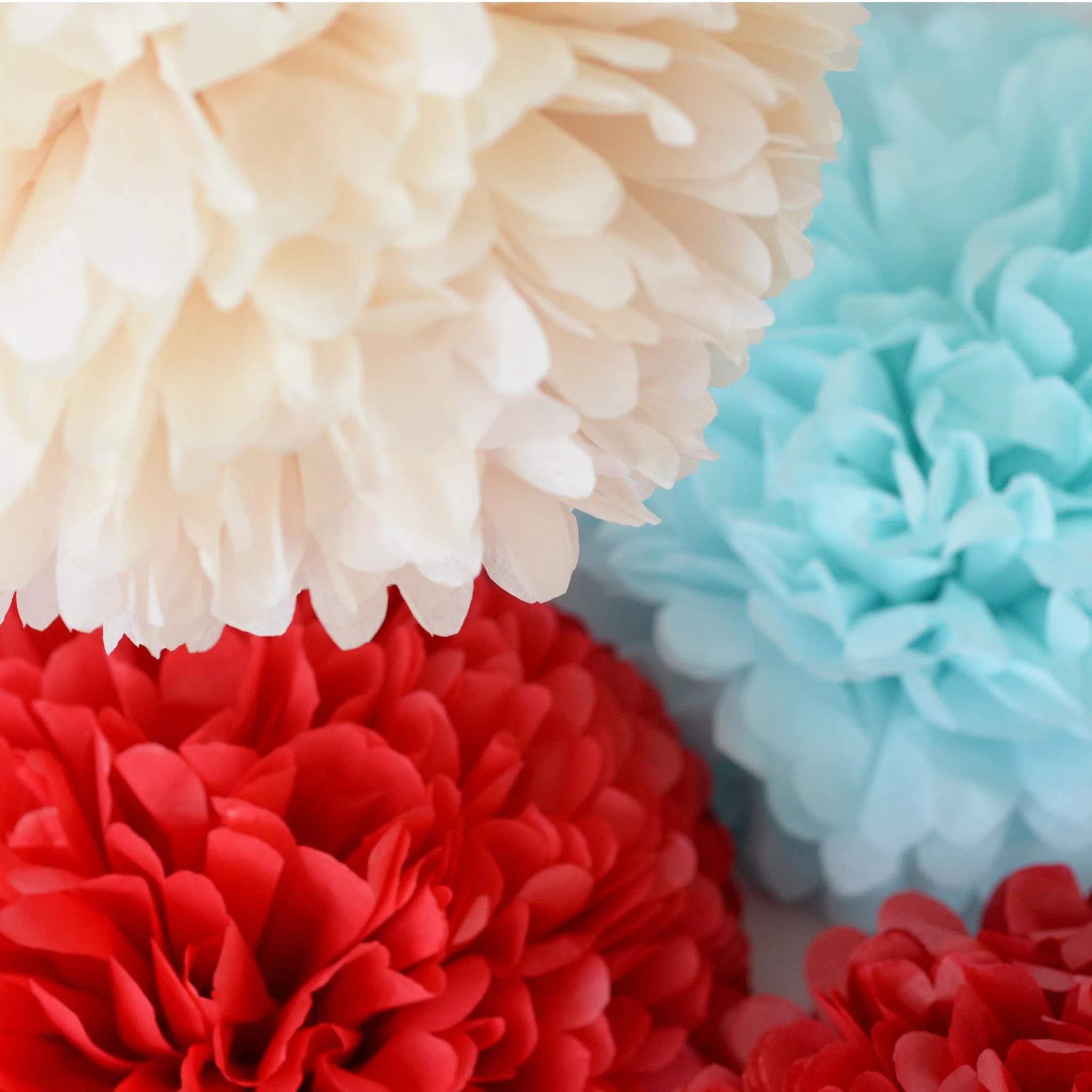 Set of 18 mixed size custom color pom poms party set