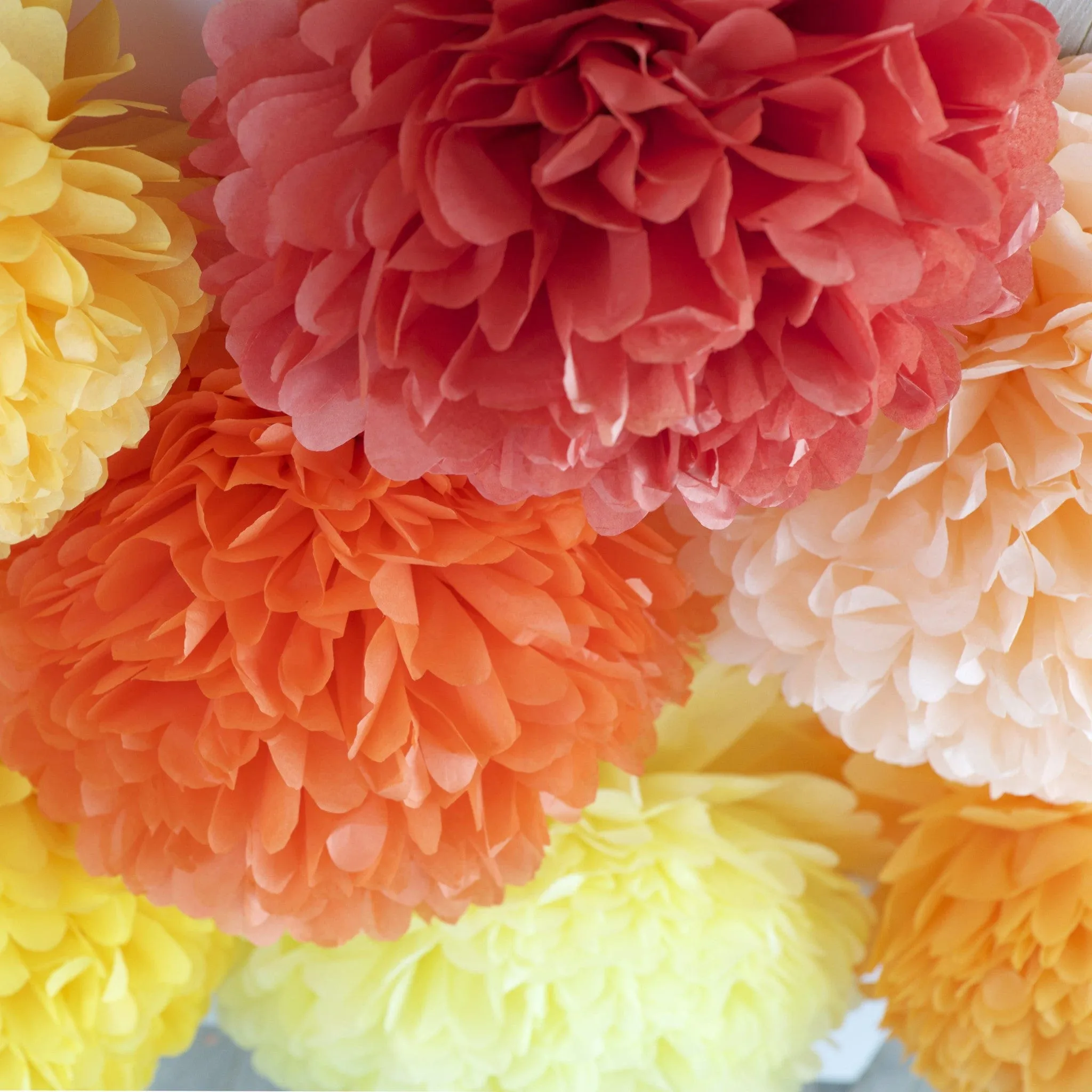 Set of 18 mixed size custom color pom poms party set