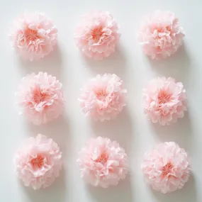 Small size 22 cm / 8 inch pom poms value set