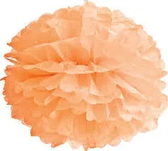Tangerine Tissue Pom Pom