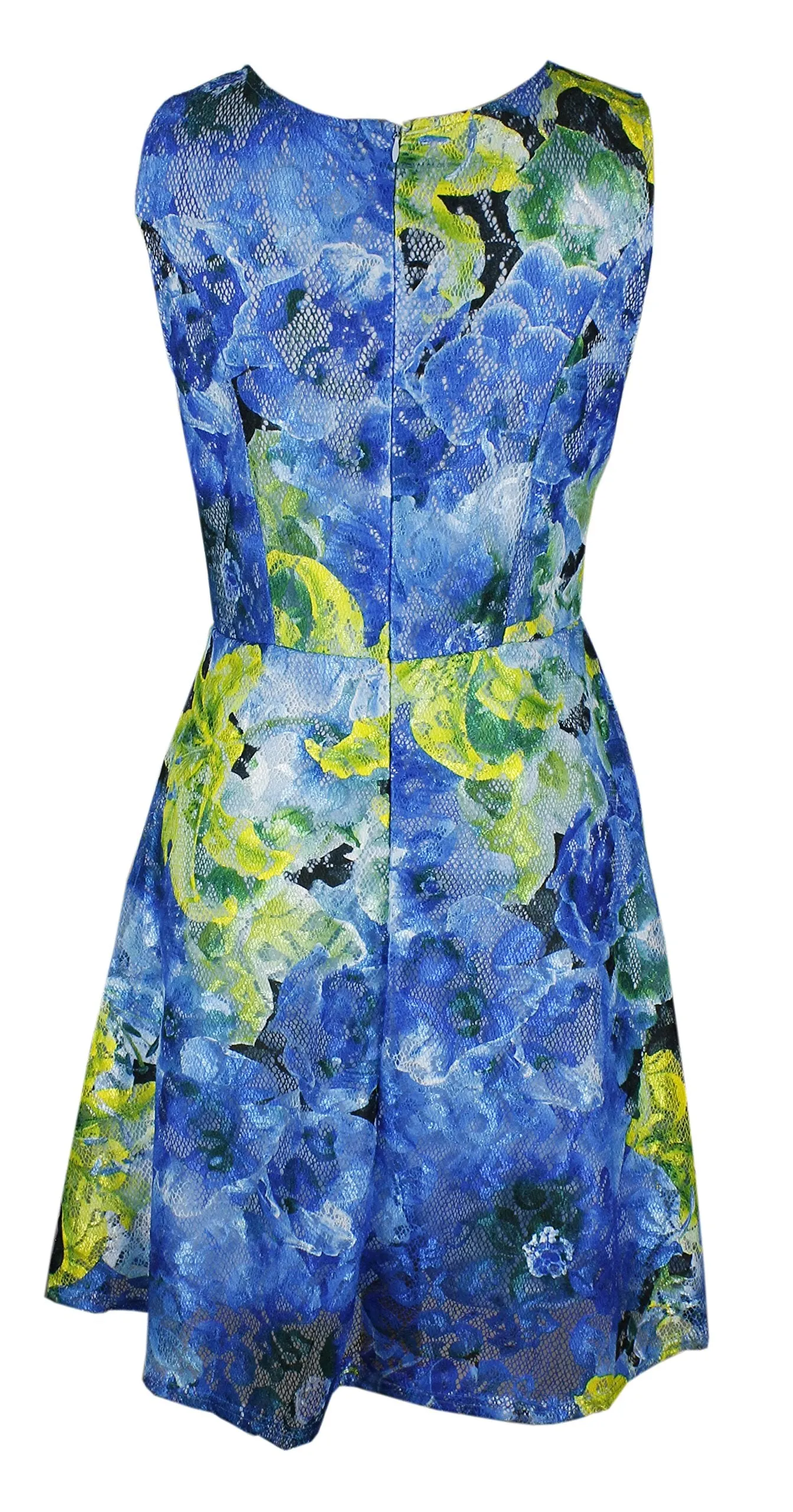 Women's Sleeveless Lace Floral Print Princess Seam Dress