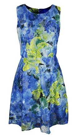 Women's Sleeveless Lace Floral Print Princess Seam Dress